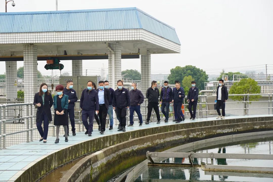 民革德阳市委调研新世界娱乐城