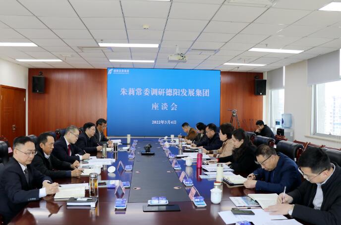 朱莉常委调研新世界娱乐城