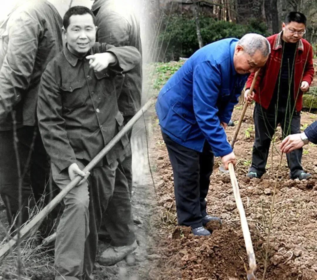 【榜样力量】周永开:一生追随党,赤诚为人民!