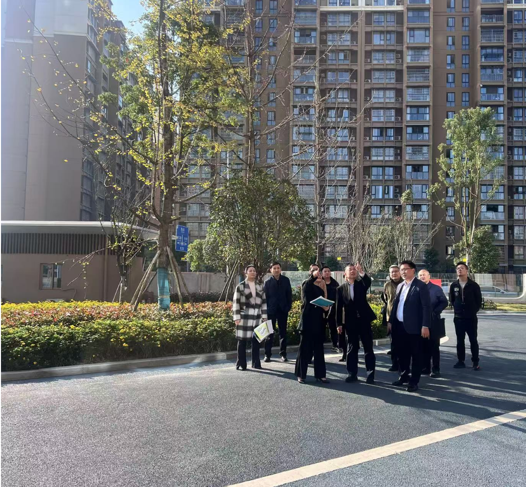 副市长徐春龙调研德阳市老年养护院、德阳市民政精神卫生福利机构项目建设工作